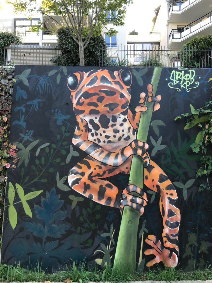 Grenouille orange et noire grimpe sur une tige verte, entourée de feuillage.
